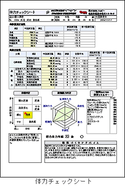 体力チェックシート